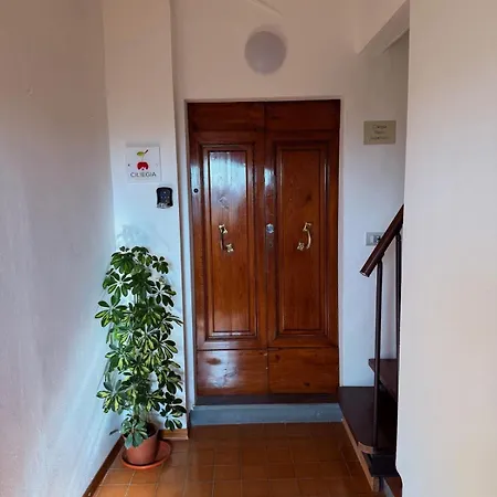 Ciliegia Di - Belvedere *