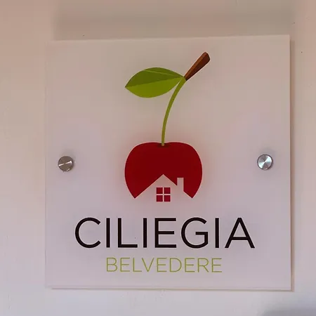 Ciliegia Di - Belvedere *