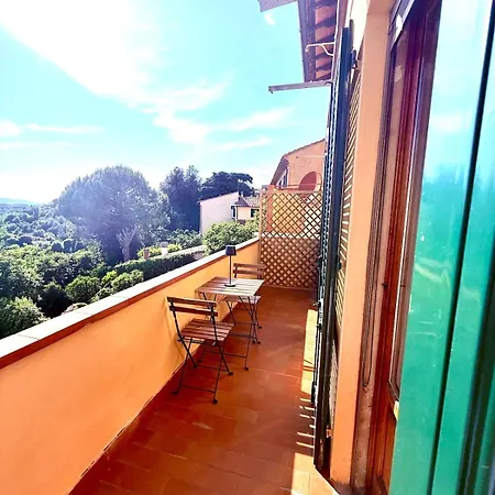 Ciliegia Di - Belvedere